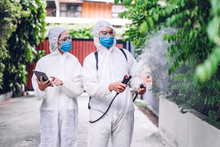 Comprehensive Pest Solutions for Residential and Commercial Properties