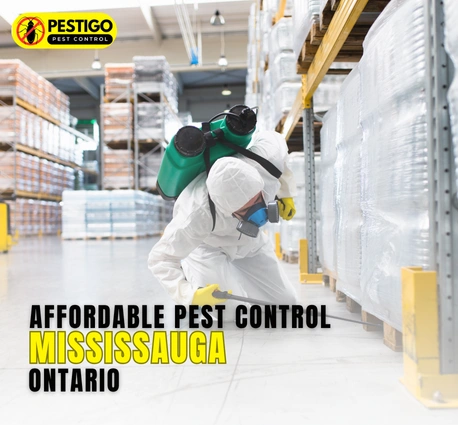 Affordable Pest Control Mississauga Ontario