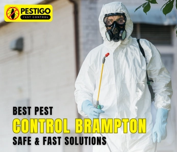 Best Pest Control Brampton