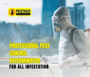 Pest Control Exterminator for All Infestation