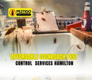 Cockroach Pest Control Services Hamilton