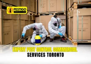 Pest Control Commercial Services Toronto