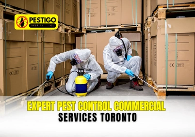 Pest Control Commercial Services Toronto