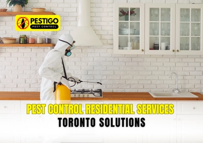 Pest Control Residential Services Toronto