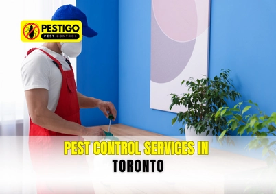 Pest Control Services in Toronto