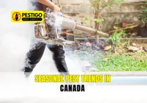 Pest Trends in Canada