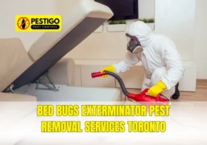 Bed Bugs Exterminator | Pest Removal Services Toronto