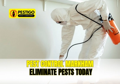 Pest Control Markham