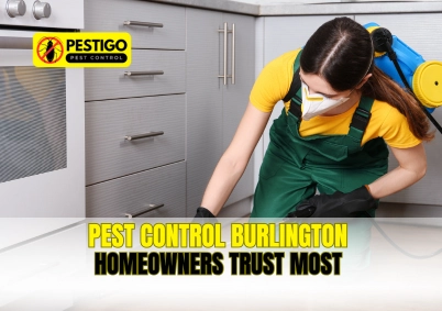 Pest Control Burlington