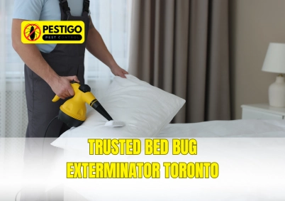 Trusted Bed Bug Exterminator Toronto