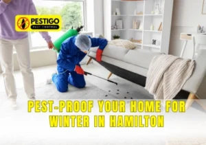 Pest-Proof Your Home for Winter in Hamilton