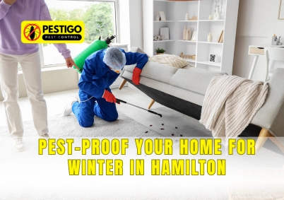 Pest-Proof Your Home for Winter in Hamilton