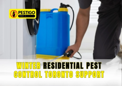 Winter Residential Pest Control Toronto
