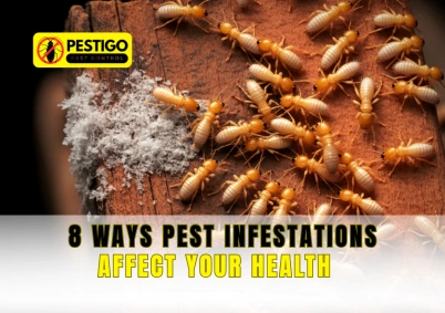 8 Ways Pest Infestations Affect Your Health