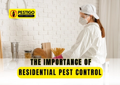 Importance of Residential Pest Control