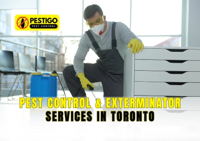 Pest Control and Exterminator Services