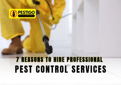 7 Reasons to Hire Professional Pest Control Services